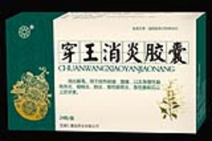 穿王消炎胶囊-24粒大规格