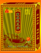藏康追风膏贴剂