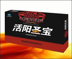 活阳圣宝