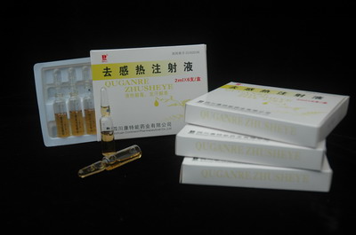去感热注射液