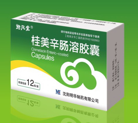 桂美辛肠溶胶囊