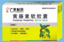 黄藤素软胶囊