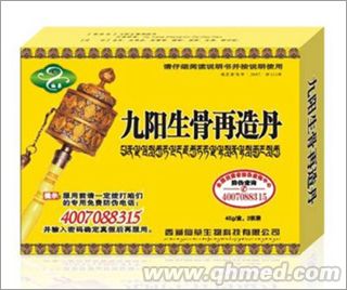 九阳生骨再造丹