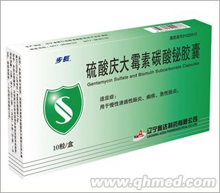 硫酸庆大霉素碳酸铋胶囊