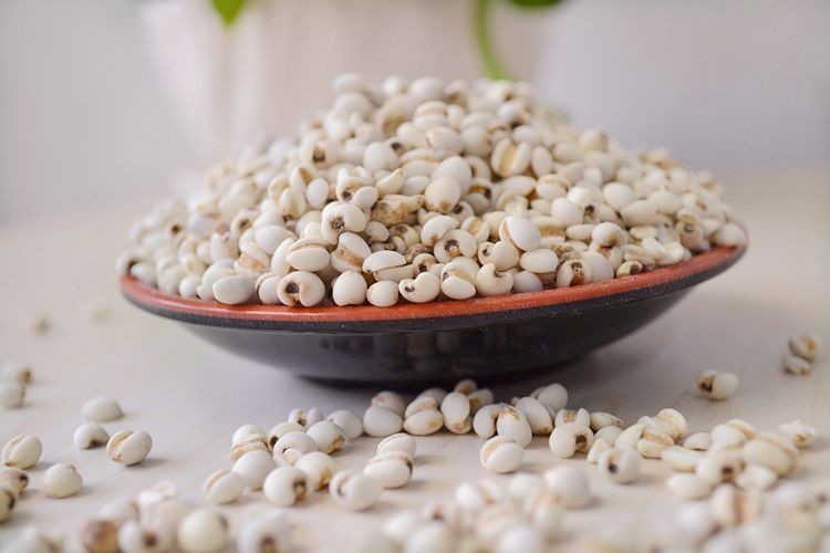 薏仁茶代加工公司及厂家