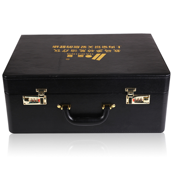 豪景厂家直销数码多功能中频治疗仪LHY-