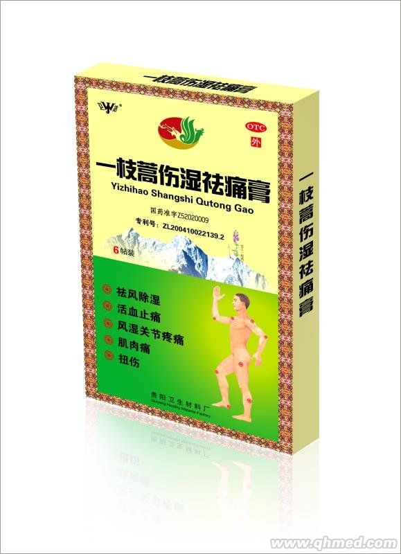 一支蒿伤湿祛痛膏