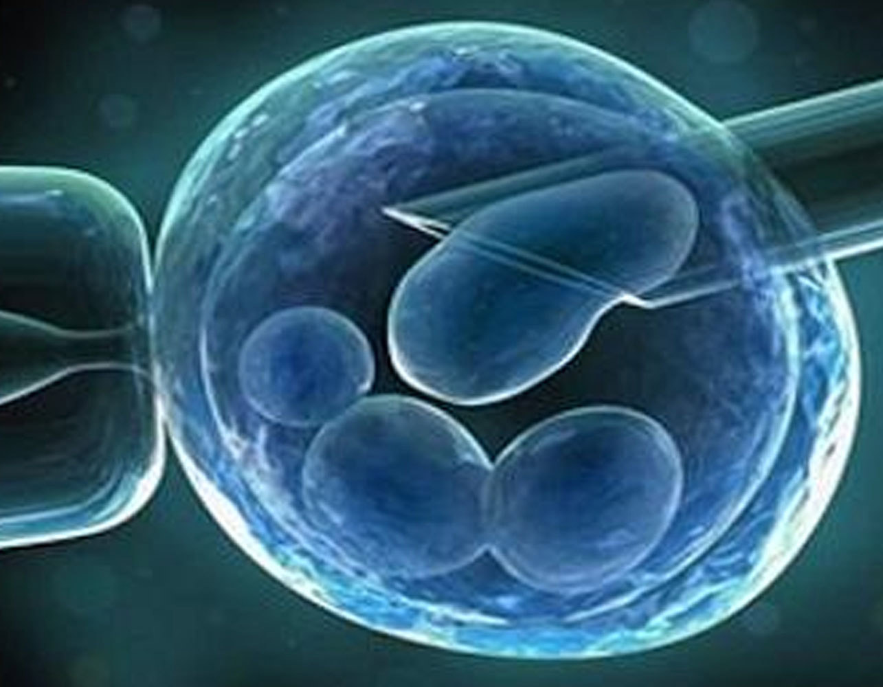 胎盘间充质干细胞