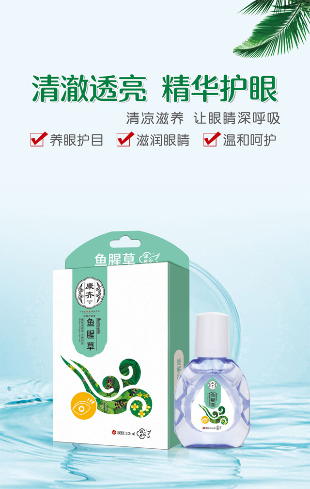 鱼腥草
