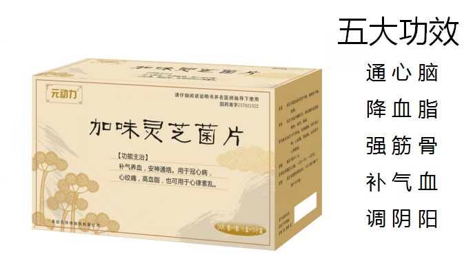 元动力