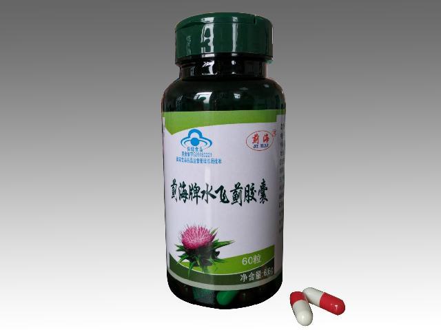 蓟海牌水飞蓟胶囊