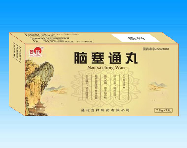 脑塞通丸
