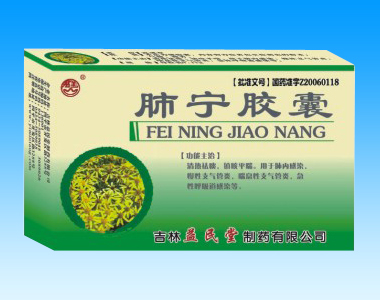 肺宁胶囊