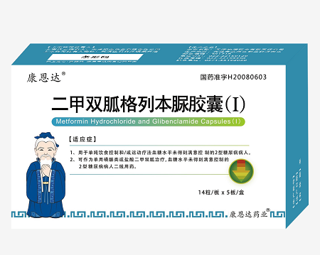 二甲双胍格列本脲胶囊（1）