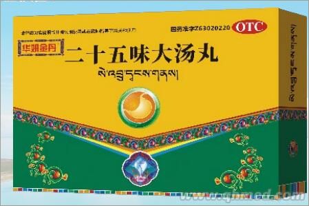 二十五味大汤丸