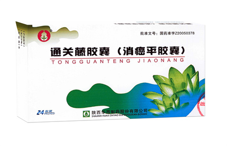 通关藤胶囊（消癌平胶囊）（国家医保乙类）